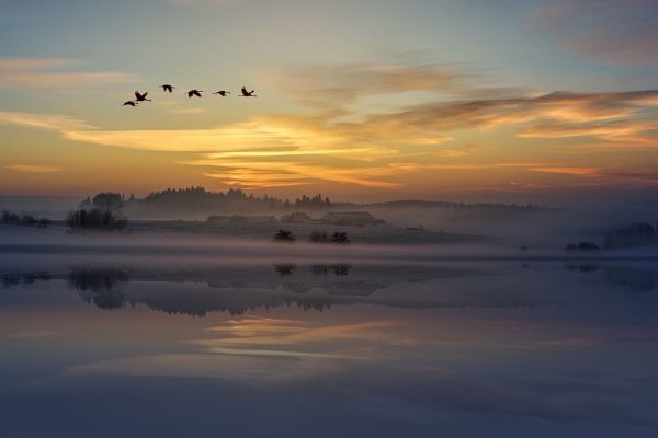 Tramonto sul lago