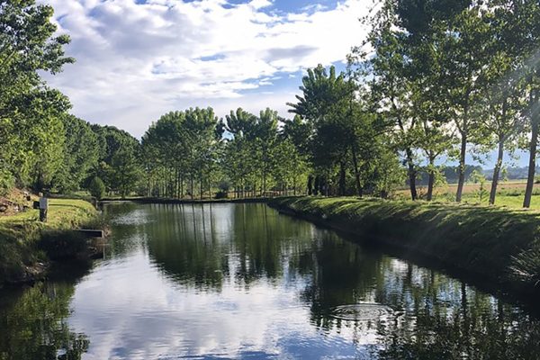 Lago Olmi prima della gara