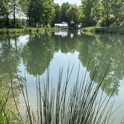 FESTA APF 22Maggio22