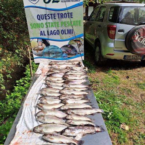 cestino gara 1000 Trote